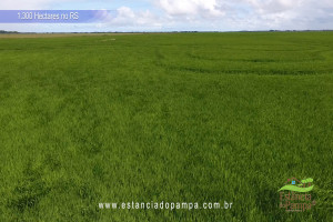 Criado em galpão-Os Serranos [VDownloader].00_03_47_04.Quadro049_39107b7601f95b3965f4d6b9f5e449fdbf23dd4c.jpg